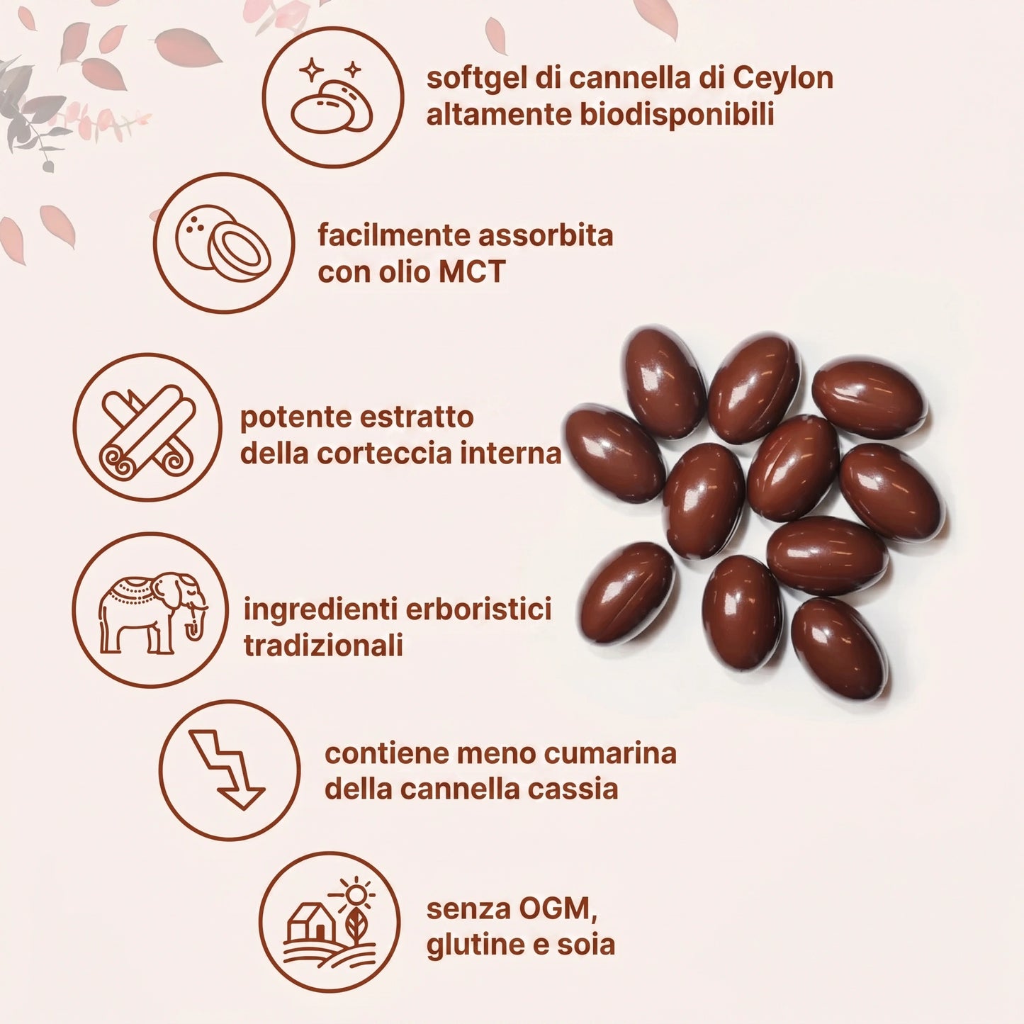 Alegra Softgel alla Cannella di Ceylon